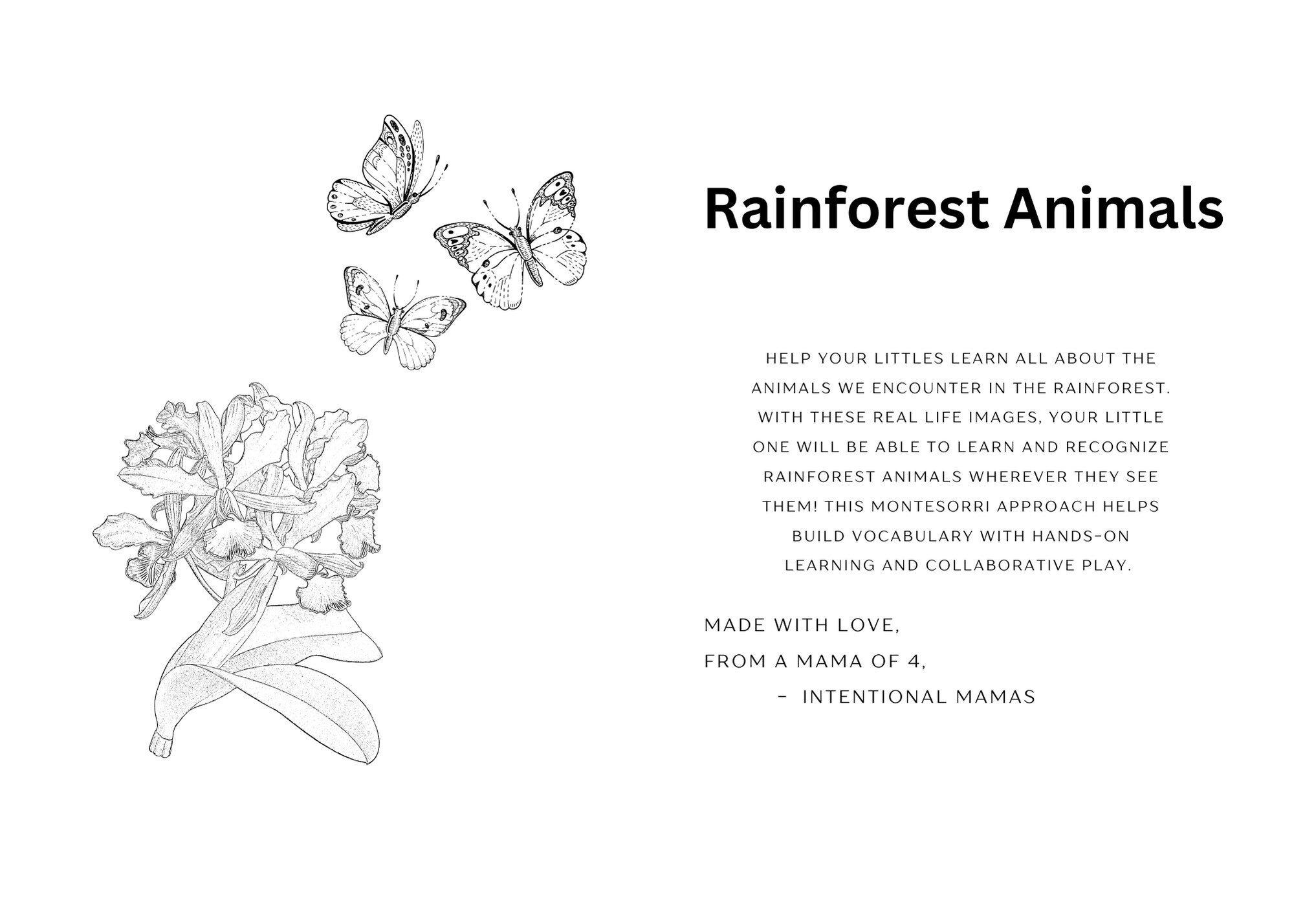 Kids Educational Flashcards Rainforest Animals - Etsy