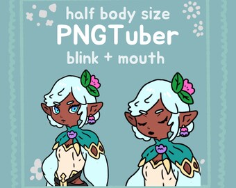 Cute Elf PNGtuber Model , 4 Expressions + Bonus, Eschenhaar , Streamer Vtuber , Discord & Twitch