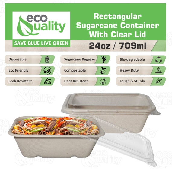 24oz Rectangle Oblong Plastic to-Go Container, 24oz Takeout