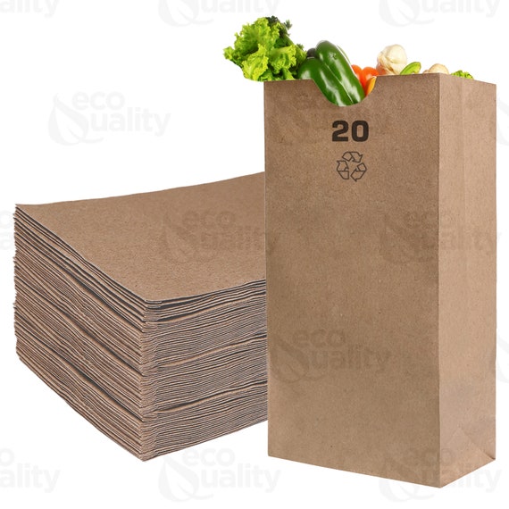 Paper Lunch Bags 20LB Brown Paper Bags 20LB Capacity Kraft Brown Paper  Bags, Bakery Bags, Candy Bags, Lunch Bags, Grocery Bags, Craft Bags 