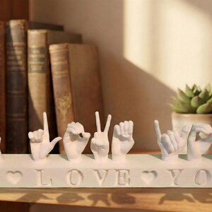 May include: A white sculpture spelling "I LOVE YOU" in British Sign Language. The sculpture features hand gestures and heart symbols. It is displayed on a wooden shelf with books and a framed photo.