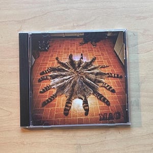 May include: A CD case featuring a raccoon pelt design on a tiled floor. The CD case has a black spine and the word "MAG" is visible in the lower right corner. The image has a warm, brown color palette.