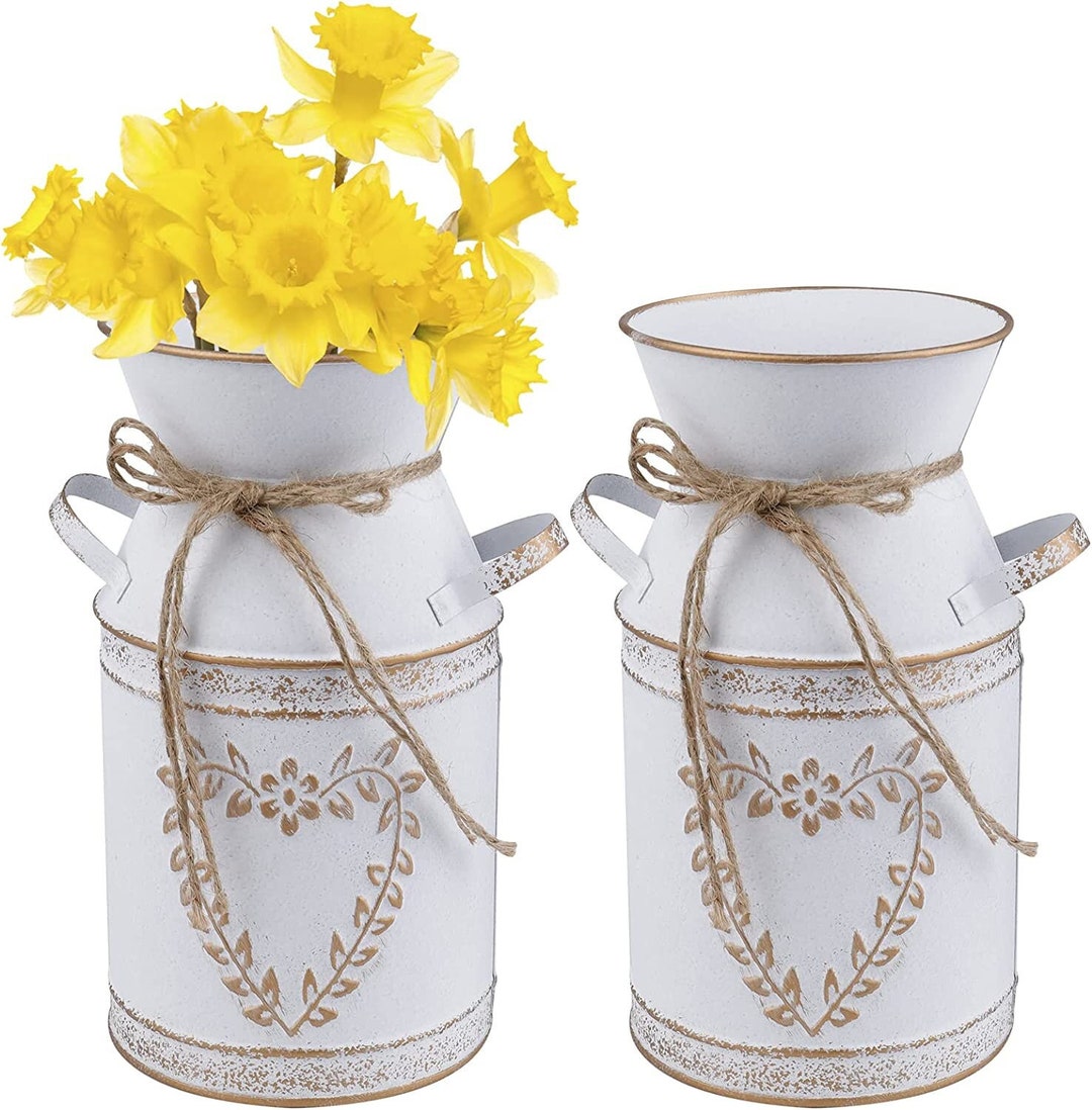 Metal Milk Can Milk Can Vase Galvanized Vase Mini Pitcher Etsy