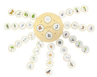 Wooden Life Cycle Puzzle Set Board, Plants and Animals Life Cycle, Montessori Toy