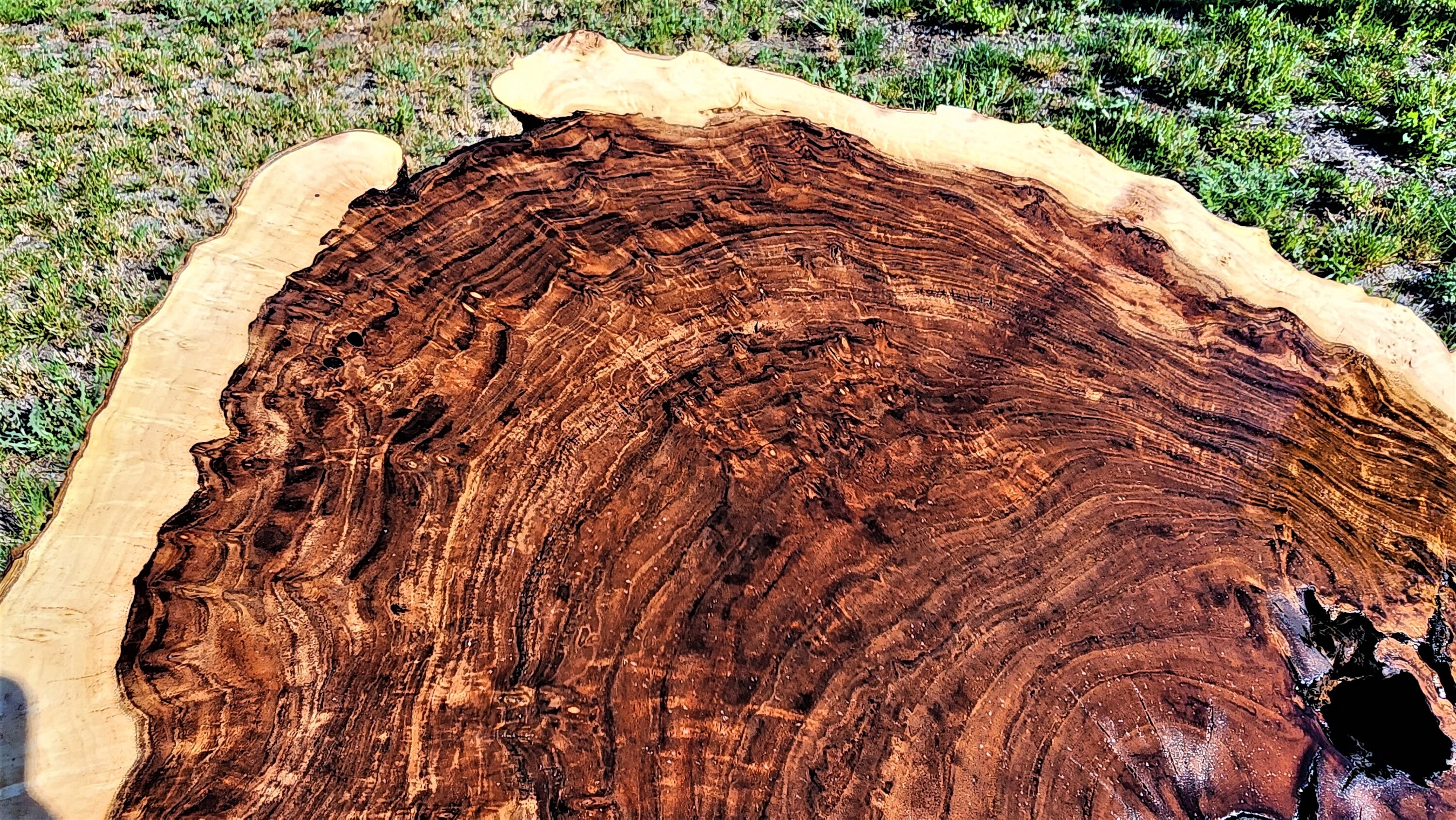 Black Walnut BURL Live Edge BWB02 Etsy