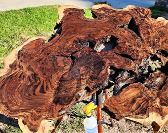 Black Walnut BURL - Live Edge (BWB-07)