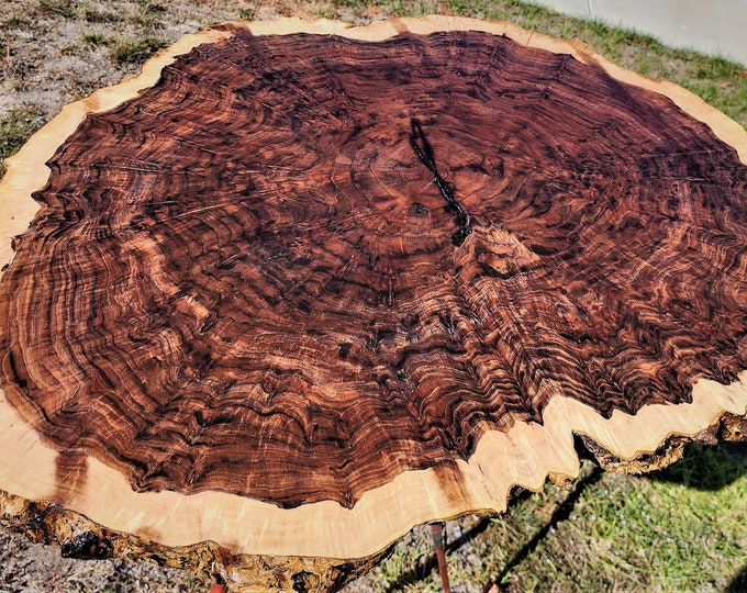 Stunning Figured Black Walnut BURL Live Edge BWB10 Etsy