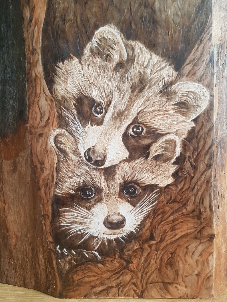 Wood Burned pyrography Raccoons Portrait - Etsy