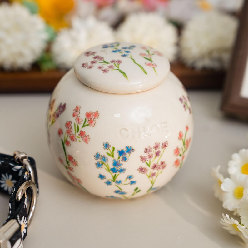 May include: A cream-colored ceramic urn with a lid, adorned with delicate pink and blue floral patterns. The name "CHLOE" is inscribed on the urn's surface. A black and white daisy-patterned collar is visible in the foreground.