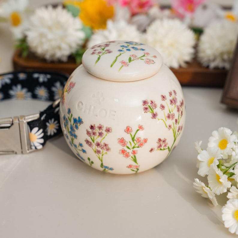 May include: A cream-colored pet urn with a floral design in pink, blue, and purple. The urn has a matching lid and the name "CHLOE" is printed on the front. A black and white daisy-patterned dog collar is in the background.