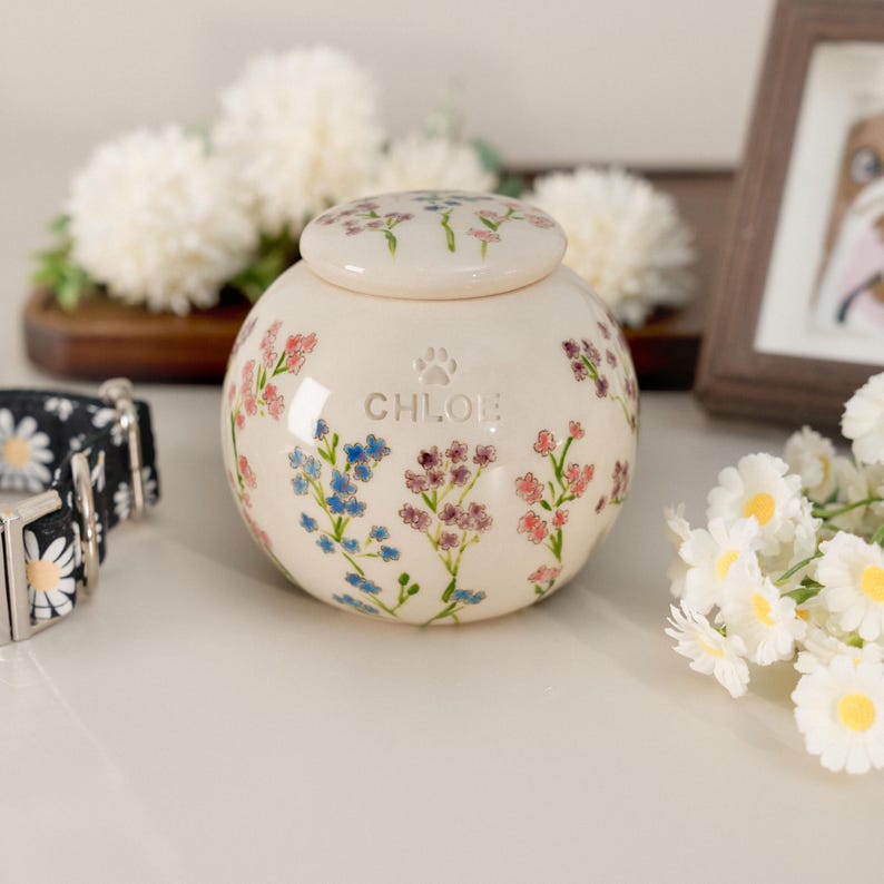 May include: A cream-colored ceramic pet urn with a lid, adorned with delicate floral patterns in pink, blue, and purple. The name "Chloe" is inscribed below a paw print. A black and white daisy collar is visible in the background.