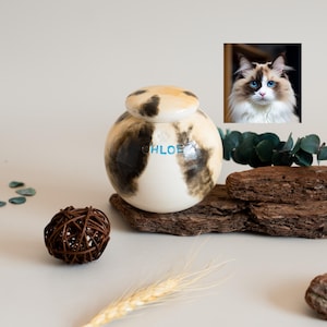 Pet Memorial Urn Painted to Match Your Pet’s Fur Color | Custom Dog Cat Ashes Urn | Hand Painted Underglaze Ceramic Urn