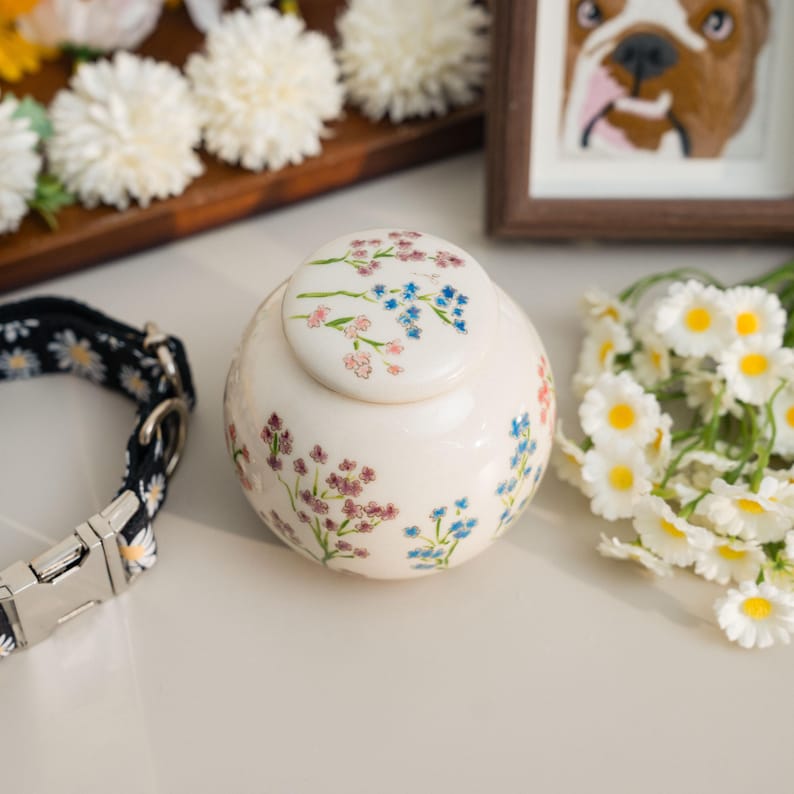 May include: A cream-colored pet urn with a floral design in pink, blue, and purple. The urn has a matching lid and is next to a black and white daisy-patterned dog collar and a bouquet of white flowers.