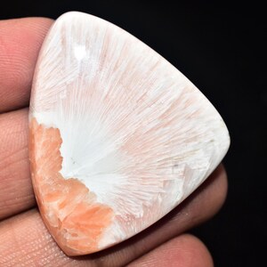 May include: A polished, triangular gemstone with a unique pattern. The stone features a blend of white and peach hues, with a striking, radiating design. The gemstone is held in a hand, showcasing its natural beauty and intricate details.