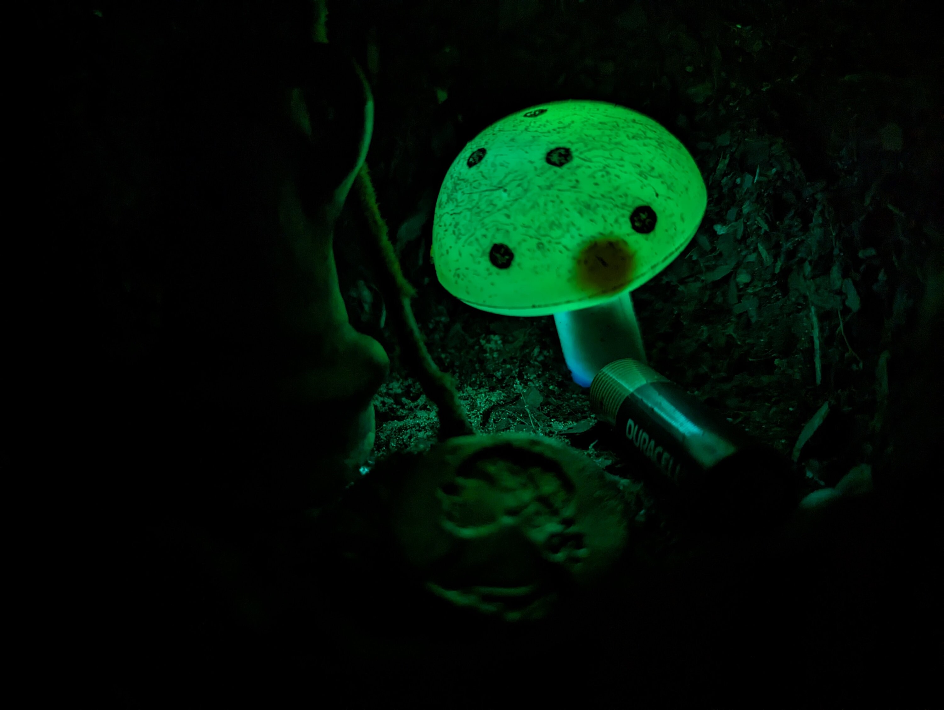 Yellow Pikmin Flower Pot Etsy