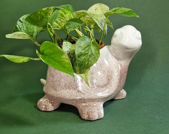 Puede incluir: Un macetero de tortuga de cerámica blanca con motas marrones, con una planta verde variegada con marcas blancas. El macetero de tortuga tiene una cara sonriente y cuatro patas.