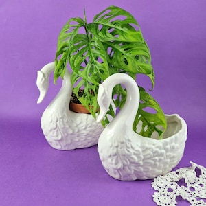 Pode incluir: Dois vasos de cerâmica branca em forma de cisne com texturas de penas moldadas nos corpos. Um cisne contém uma planta Monstera adansonii com folhas fenestradas, enquanto o outro está vazio, posicionado ao lado de um guardanapo de renda branco.