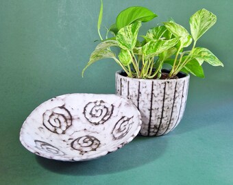 May include: A white ceramic planter with a striped pattern and a green plant with variegated leaves. The planter is sitting on a white ceramic saucer with a swirl design.