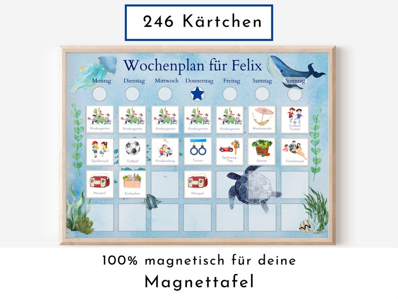 Magnetboard Wochenplan für Kinder und Teenager, Tagesplan mit 246 Routine Karten, Neodym-Magnete, Routineplan Meerestiere Bild 1