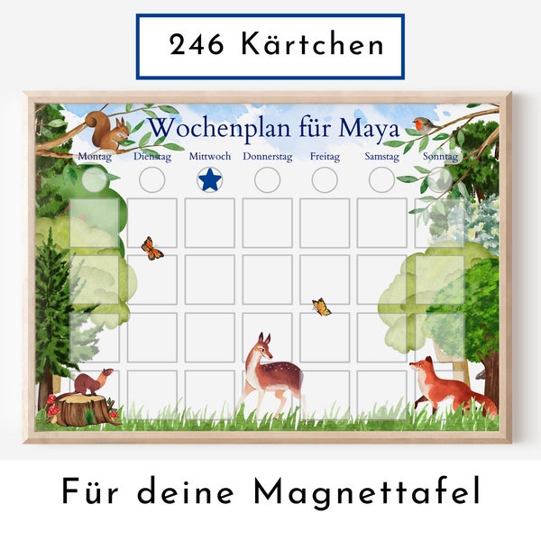 Magnetboard Wochenplan "Wald und Wiese" für Kinder, 246 Routine Karten, Bildkarten, Magneten, Montessori Routineplan von Familie Nordstern