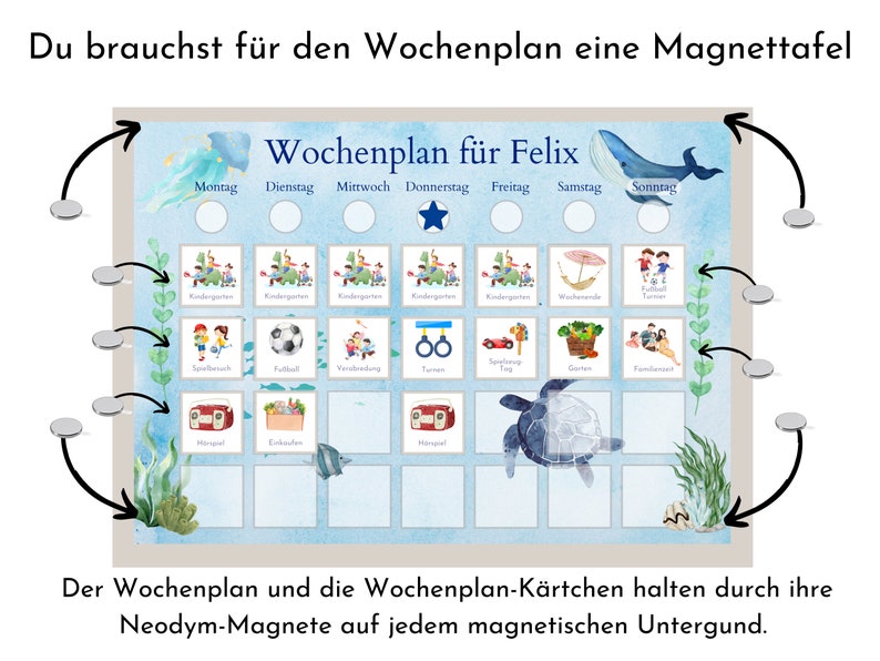 Magnetboard Wochenplan für Kinder und Teenager, Tagesplan mit 246 Routine Karten, Neodym-Magnete, Routineplan Meerestiere Bild 2