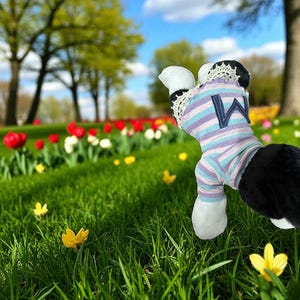 Könnte beinhalten: Ein Stoffhund trägt ein gestreiftes Hemd mit dem Buchstaben "W". Der Hund befindet sich auf einer Wiese mit grünem Gras und roten, weißen und gelben Blumen. Im Hintergrund sind Bäume und ein blauer Himmel zu sehen.
