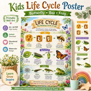 May include: A colorful educational poster titled Kids Life Cycle Poster featuring watercolor illustrations of the life cycles of a bee, butterfly, and frog. The poster includes descriptive text for each stage, surrounded by floral and nature-themed borders.