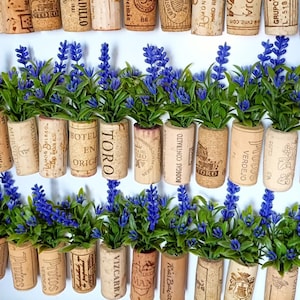 Puede incluir: Una fila de tapones de vino con plantas de lavanda creciendo fuera de ellos. Los tapones están etiquetados con diferentes marcas y regiones de vino, incluyendo "Fray German", "Barbadillo", "Rioja", "Toro" y "Vizcarra".