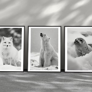 Black and white Animal print, animal lover prints, minimalistic wall art, Arctic prints, animal wall art, black and white print, home deco