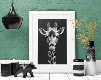Giraffe Portrait Print: Black and White Animal Wall Art (Digital Download)