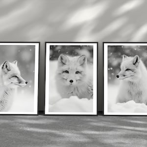 black and white Animal prints arctic fox prints minimalistic wall art Arctic digital prints animal wall art black and white prints home deco