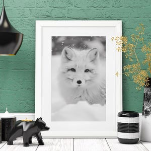 black and white Animal print arctic fox print minimalistic wall art Arctic digital print animal wall art black and white art print home deco