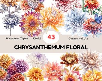 Watercolor Chrysanthemum Clipart Set: 43 PNG Floral Bouquets (Commercial Use)