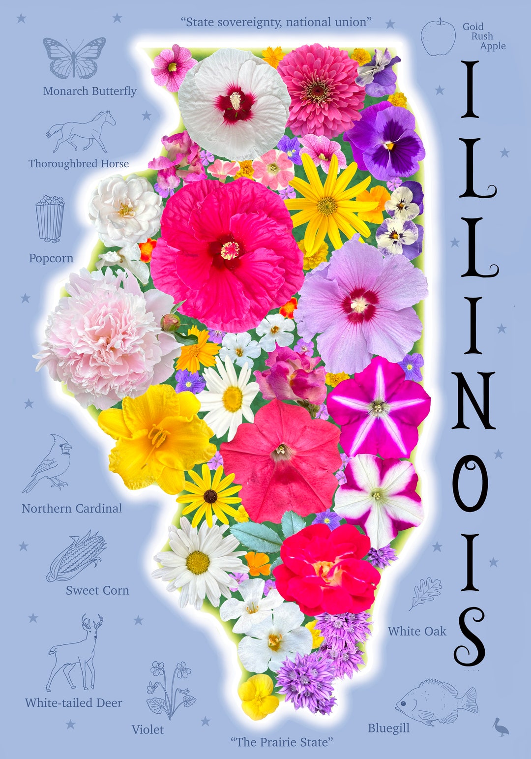 Illinois Flowers 500-piece Jigsaw Puzzle