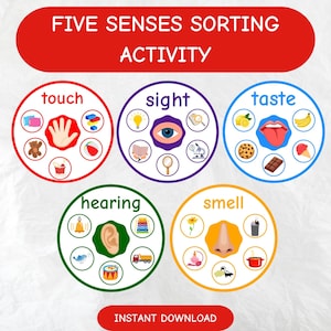 Five Senses Sorting Activity for Kids | 5 Senses Classification Game | Kindergarten Learning Activity | Sensory Educational Printable