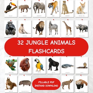 ANIMAIS DA SELVA, 32 cartões Montessori preenchíveis, flashcards para crianças, cartões de 3 partes, cartão de animais da selva, montessori para impressão, flashcards para crianças