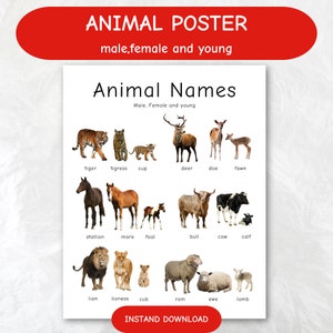 AFFICHE D'ANIMAUX, impressions d'animaux, affiche Montessori, apprentissage éducatif Montessori de l'enseignement à domicile, feuille de calcul imprimable, affiches éducatives