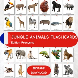 ANIMAIS DA SELVA, Animais da Selva para Imprimir, Cartões de Memória Flash para Berçário da Selva para Crianças, Educação, Brincadeira Infantil, Selva, Cartões de Memória para Crianças