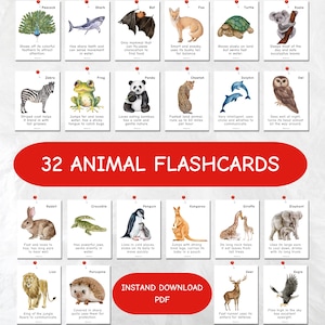 32 Animal Flashcards for Kids | Cute Animal Cards in 2 Sizes | Watercolor Homeschool Learning | Digital Download PDF