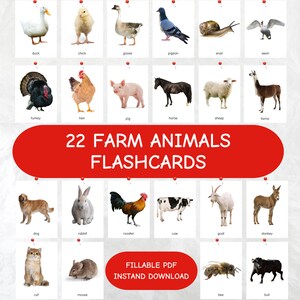 22 Bauernhof Tiere, 22 Bauernhof Lernkarten, Bauernhof Karteikarten, Kinder Bauernhof Karteikarten, Kinder Bauernhof Tiere, Kinder Bauernhof