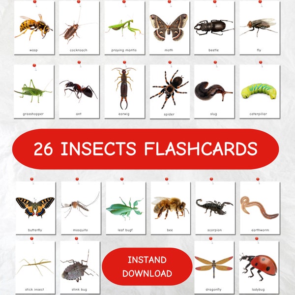 26 Insects Flash Cards, Educational Printable Cards, Montessori Materials,  Pre-School Cards, flashcards printable, instand download