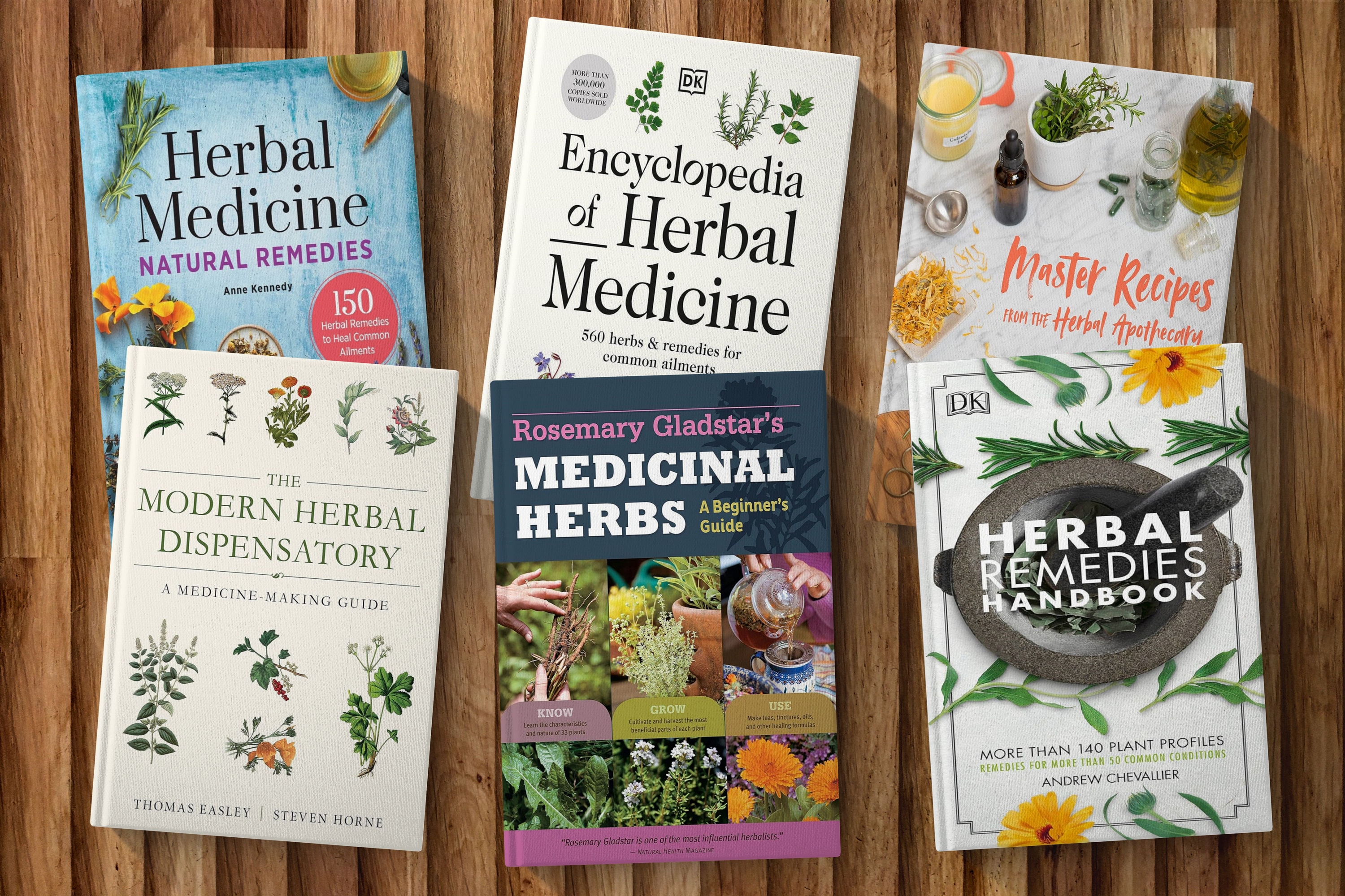 Le livre perdu des plantes médicinales