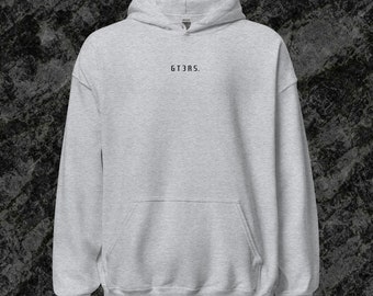 P GT3 RS V2 Hoodie