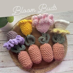 Flower Bloom Buddies | Crochet Flowers | Flower Imaginative Play | Flower Plushie | Crochet Flower Blooms | Crochet Flower Pots