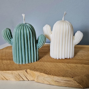 Kaktuskerze l Kaktus l Kerze l Rapswachs l Vegan l Geschenk