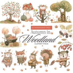 Fall Woodland Animal Babyshower Woodland Forest Animal Baby Shower Decorations Fall Woodland Baby Animals Forest Woodland Fall Animal