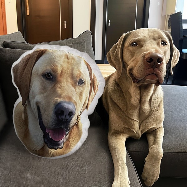 Pet Pillow, Personalized Dog Pillow, 3D Pillow Custom, 3D Shape Dog Pillow, Double-Sided Print, Custom Face Pillow