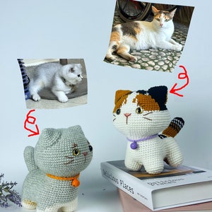 Poupée chat personnalisée, peluche personnalisée, cadeau personnalisé pour animal de compagnie, monument commémoratif pour animal de compagnie, cadeau pour amoureux des chats, cadeau maman chat papa, cadeau fête des mères