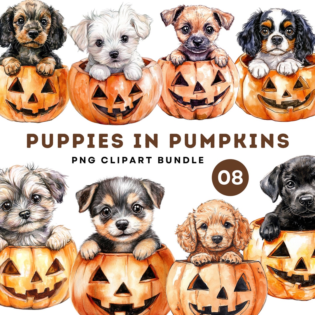 Puppies in Pumpkins Watercolor PNG Clipart Bundle Cute Halloween Dogs ...