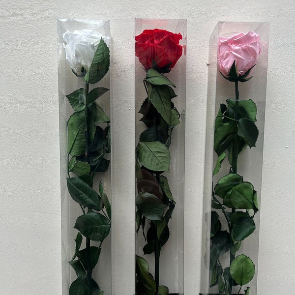 Rose Eternelle Sur Tige Livrée Dans son Etuis - Fleurs Naturelle Stabilisée, cadeau anniversaire femme, cadeau de mariage, Saint-Valentin